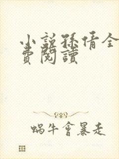 小说孙倩全文免费阅读