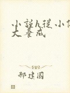 小说h从小做到大养成封面