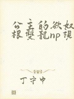 公主的欲奴h四根双龙np视频