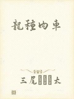 龙种肉车封面