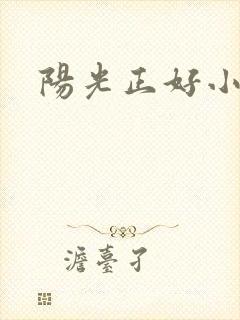 阳光正好小说