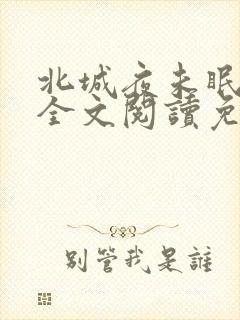 北城夜未眠小说全文阅读免费