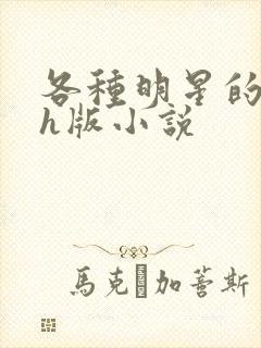 各种明星的综艺h版小说封面
