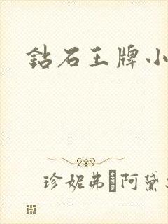 钻石王牌小说