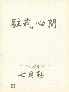 驻我心间