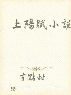 上阳赋小说