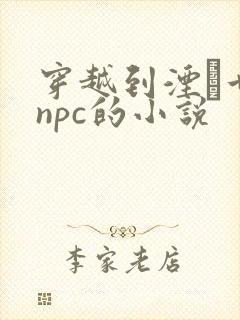 穿越到湮婸世界npc的小说