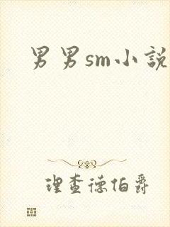 男男sm小说封面