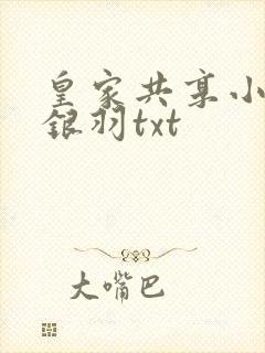 皇家共享小公主银羽txt封面