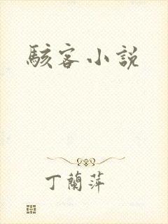 骇客小说