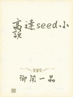 高达seed小说
