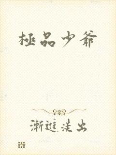 极品少爷