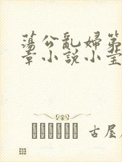 荡公乱妇第51章小说小莹