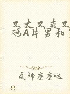 又大又爽又黄无码A片男和男