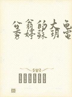 公翁的大龟挺进秀婷苏玥电影