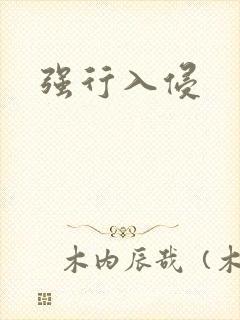 强行入侵封面