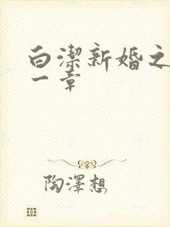 白洁新婚之夜第一章封面