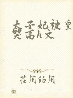 太子妃被皇上c哭高h文