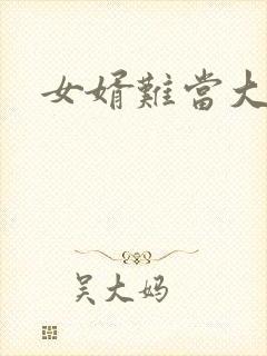 女婿难当大结局封面