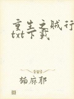 重生之贼行天下txt下载