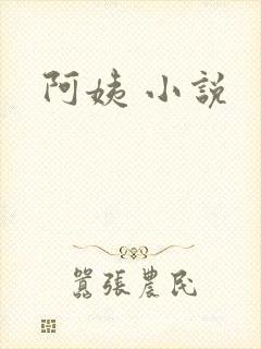 阿姨 小说