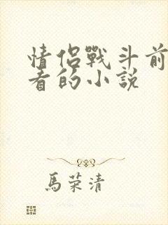 情侣战斗前适合看的小说