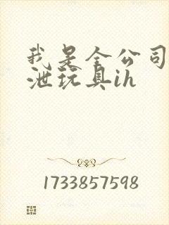 我是全公司的发泄玩具ih