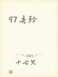 97去干封面