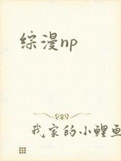 综漫np封面
