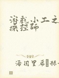 游戏小工之元素操控师封面