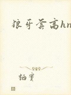 狼牙套高hnp