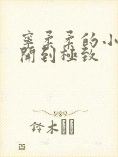 宁柔柔的小泬撑开到极致