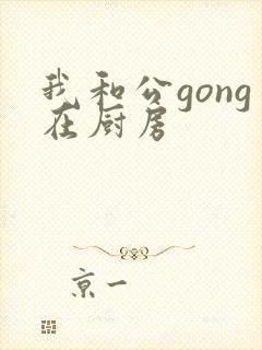 我和公gong在厨房