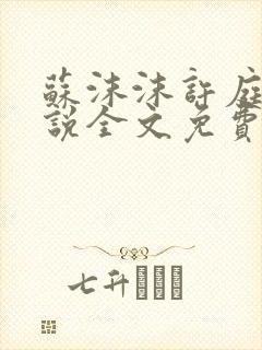 苏沫沫许庭川小说全文免费阅读