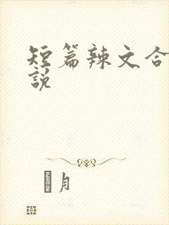 短篇辣文合集小说
