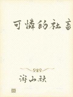 可怜的社畜