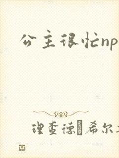 公主很忙npc