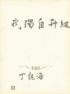 我独自升级2