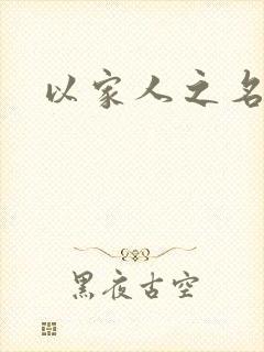 以家人之名小说