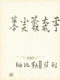 宁小茶太子殿下今天破戒了吗免费阅读