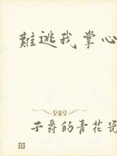 难逃我掌心封面