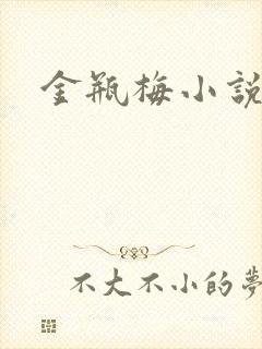 金瓶梅小说
