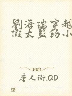 刘海瑞穿越后宫假太监的小说封面