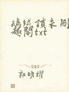 鹅绒锁未删除笔趣阁txt