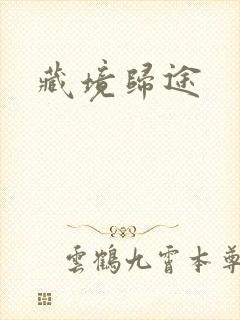 藏境归途