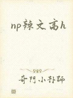 np辣文高h封面