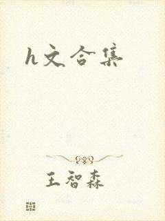 h文合集