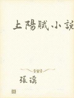 上阳赋小说