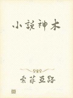 小说神木
