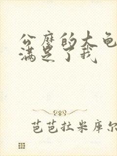 公么的大龟强大满足了我